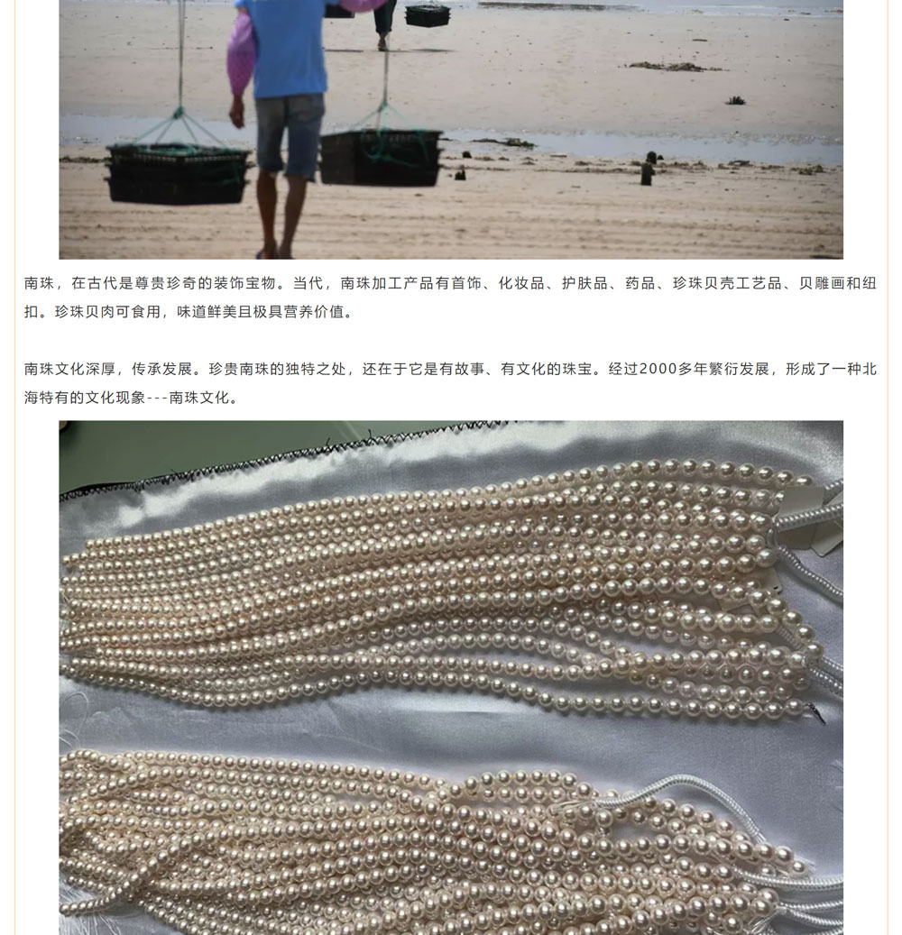 古老南珠，綻放異彩