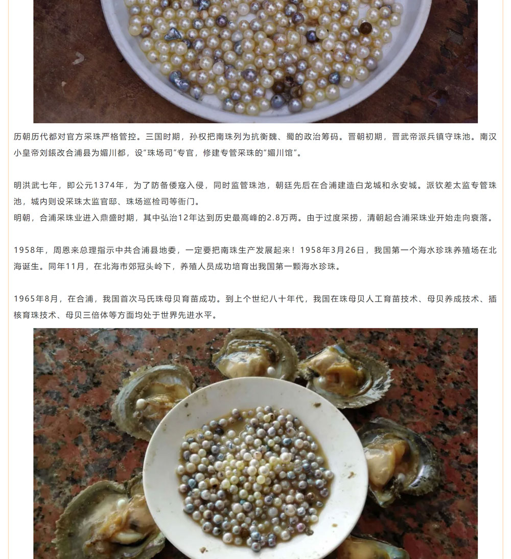 古老南珠，綻放異彩