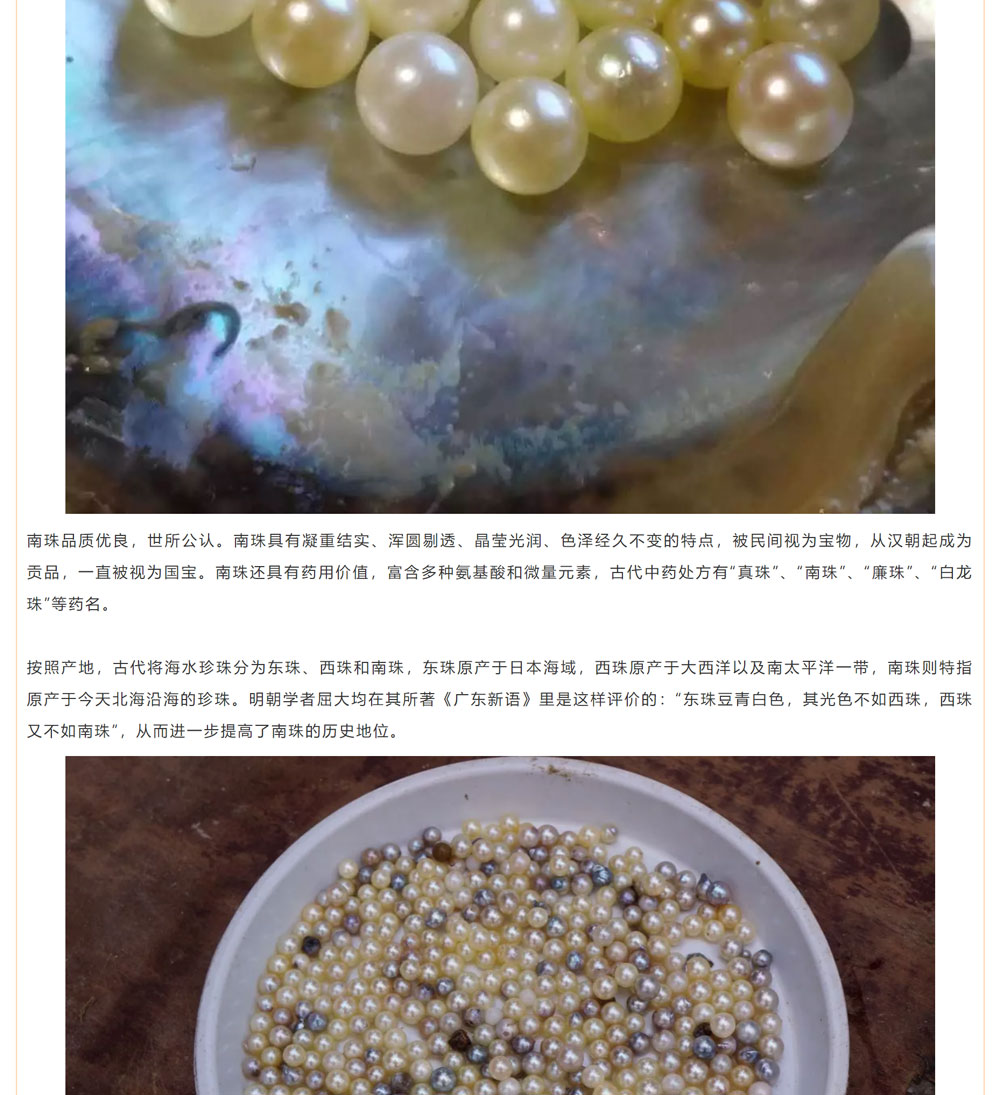 古老南珠，綻放異彩